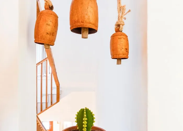 Calma סיוטאדלה