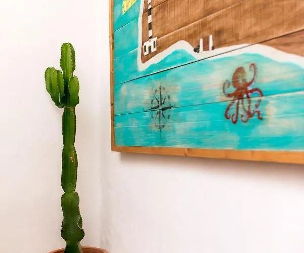 Calma Ciutadella (Menorca)